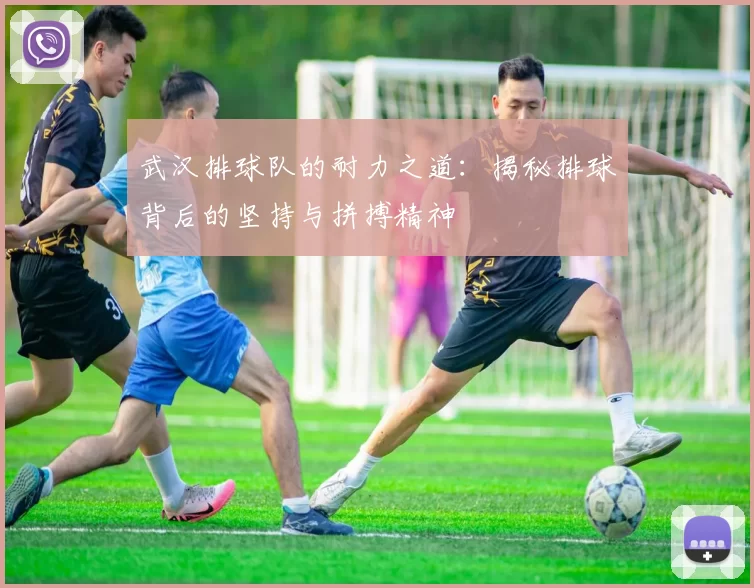 武汉排球队的耐力之道：揭秘排球背后的坚持与拼搏精神