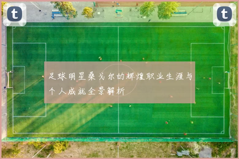 足球明星桑戈尔的辉煌职业生涯与个人成就全景解析